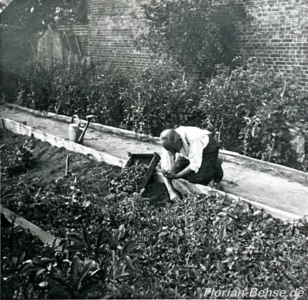 Paul Schulz in der Gärtnerei